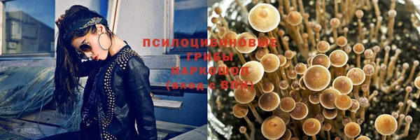 прущие крисы Алексеевка
