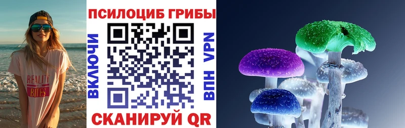 Псилоцибиновые грибы Cubensis Катав-Ивановск
